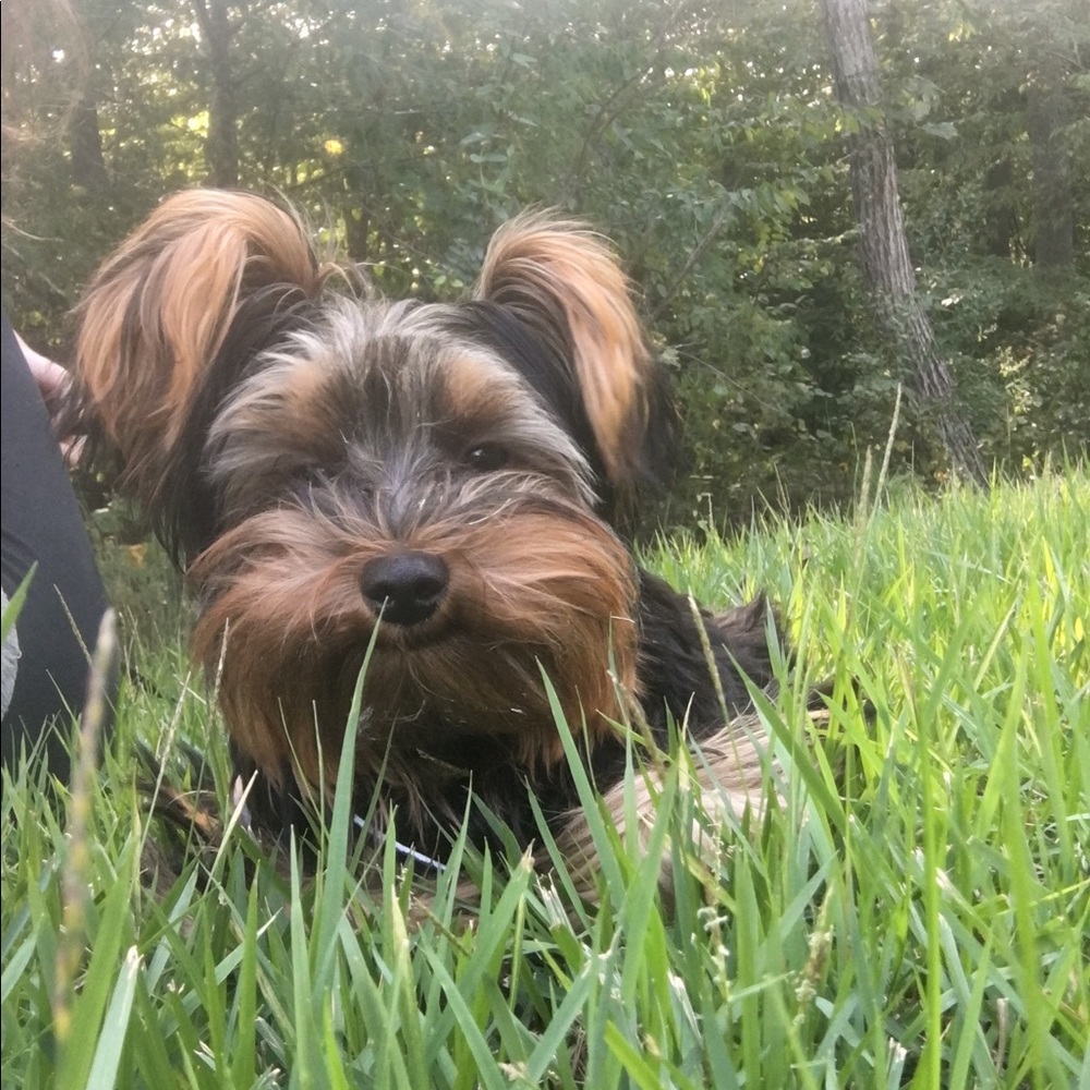 Meet your Posher, Megan